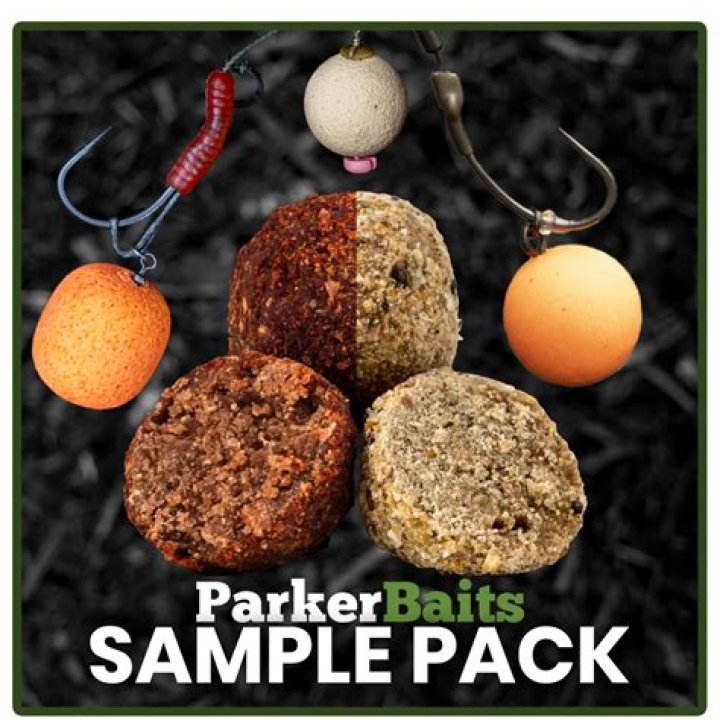 What is a boilie for carp?