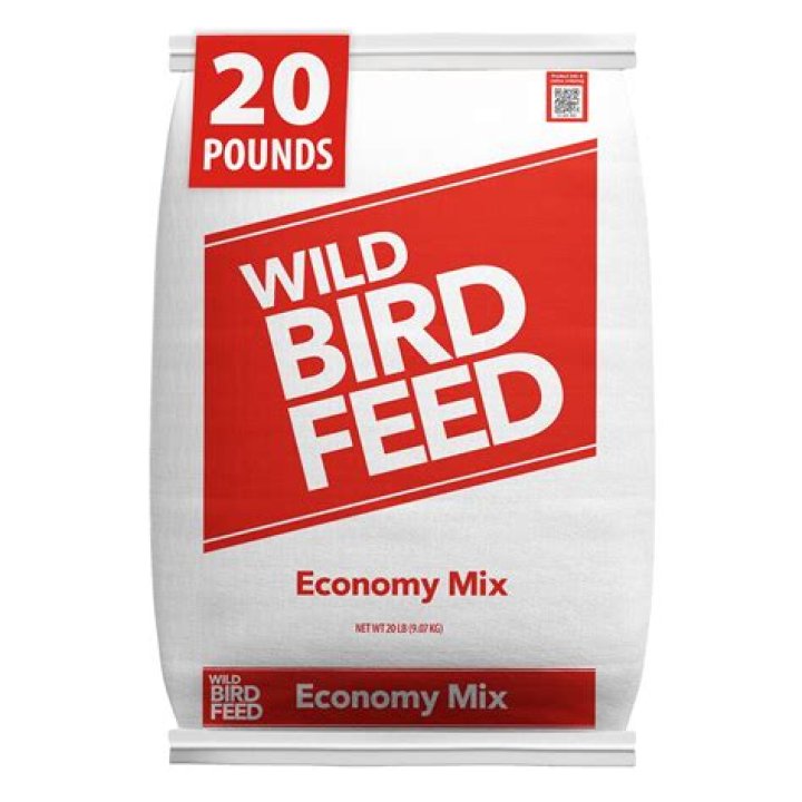 What type of bird seed should I buy?